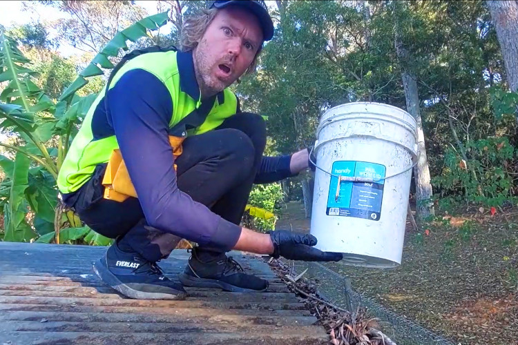 
portstephens Gutter cleaning makes it evident that a bucket is a must-have.