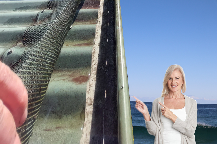 
portstephens Woman`s Joyful Response to Under Gutter Guard Cleaning